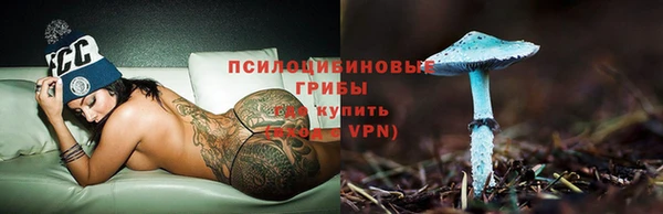 наркотики Новозыбков