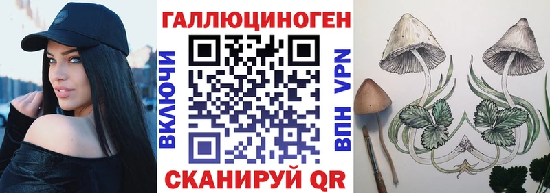 Псилоцибиновые грибы MAGIC MUSHROOMS  Купить закладки  Коммунар 